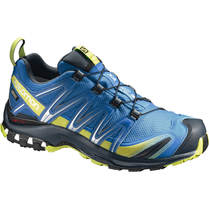 Salomon Israel XA PRO 3D GTX® - Mens Trail Running Shoes - Blue (THPU-92708)